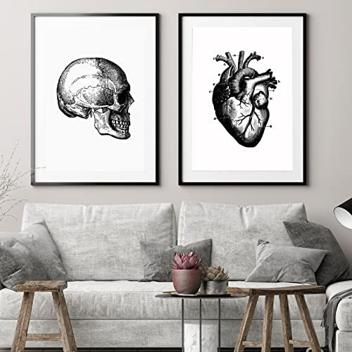 AIVYNA Umano Cuore Stampa Organo Anatomia Tela Pittura Medicina Anatomico Poster E Stampa Nero Bianco Nervatura Gabbia Immagini Clinica Decor Senza Cornice
