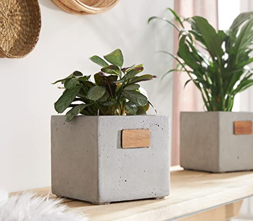 Übertopf Cube aus Beton, grau, Pflanztopf, Blumentopf, Pflanzgefäß in Würfel-Form, Blumenkübel für Zimmerpflanzen, Deko für Wohnzimmer und Küche