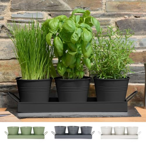 CKB LTD Set di 3 vasi per erbe aromatiche in metallo con vassoio antigoccia, per interni, per davanzale, colorati, per la cucina, per coltivare le proprie erbe aromatiche per cucinare (nero)