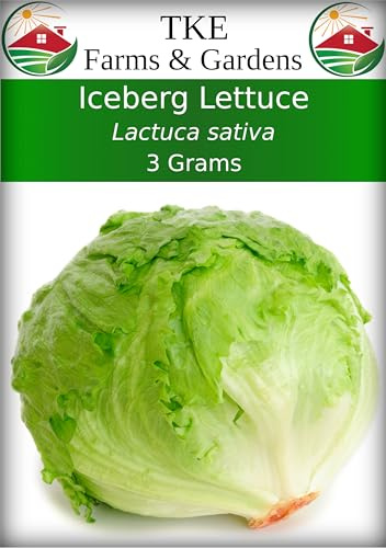 TKE Farms & Gardens - Iceberg Lettuce Seeds for Planting, 3 Grams, 2500 Heirloom Non-GMO Seeds, Ideal for Hydroponics and Outdoor Gardens, Includes Instructions