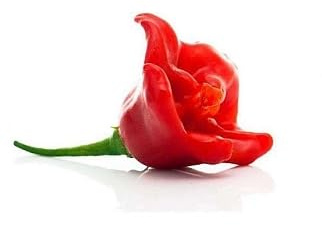 30 Semi di Peperoncino Bip Shop Cappello del Prete, peperoncini che ricordano una rosa, Piccantezza Media, orto vaso balcone