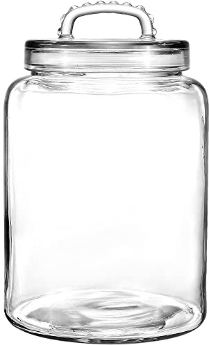 Daitouge 3 Gallon Glass Jars Wide Mouth, Heavy Duty Glass Storage Jars with Fresh Seal Lids, Super Large Glass Canisters for Bulk Food Storage, Set of 1 | 5.7 Wide Mouth, Glass Canister, Easy-Grip Lid, Heavy Duty Glass, Cookie Jar, Pantry Storage for Flour, Sugar, Dog Treats