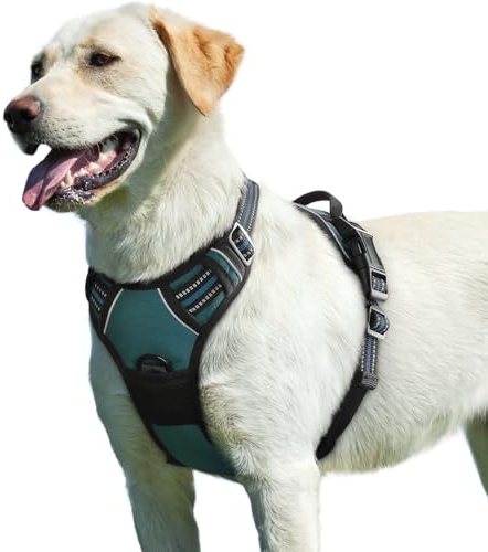 Eagloo Arnes Perro Grande Mediano, Arnes Antitirones Perro Antiescape, Chaleco Acolchado Ajustable, Anillos de Pecho y Espalda, Transpirable con Cinta Reflectante, Ejercer Correr, L Verde Oscuro