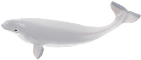 Vaguelly Simulation Weißer Wal Figur Kunststoff Realistische Meeresbewohner Deko Pädagogisches Tiermodell Für Junge Mädchen Aquarium Zubehör