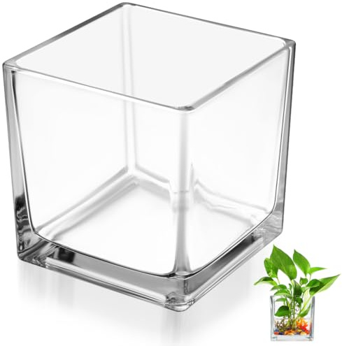 SHERCHPRY Glass Vase for Flower Hydroponic, Small Cube Vase for Water Culture Planter, Terrarium Container, Home Office Desktop Party Home Decor, 10x10x10CM