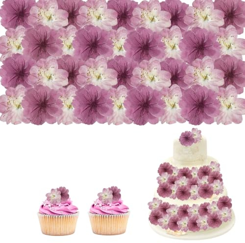 HIVTE 48 Pezzi Fiori di Ciliegio Secchi | Fiori Naturali per Torte, Cupcake, Cocktail, Manufatti in Resina e Arredamento | Solo Uso Decorativo, Non commestibili