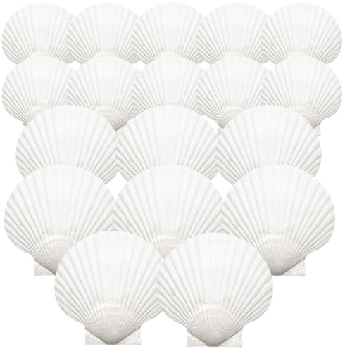 Goiern 18 Piezas de Conchas Naturales Grandes para Pintar, Hornear y Decorar en Bodas de Verano, Playa y hogar (4 tamaños 5-12cm)