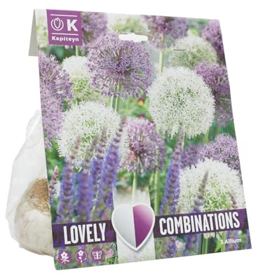 Bulbos de Allium Lovely Combination (3 uds) | Floración en Primavera | Flores Esféricas y Decorativas en Tonos Violeta y Blanco | Ideal para Jardines y Macetas