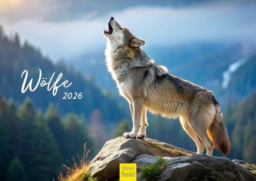 Calendario Premium Edition Seidel Lobos 2026 Formato DIN A4 para pared Calendario de animales Animales Vida silvestre Manada Lobo Bosque Naturaleza