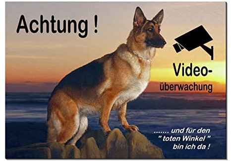 Schäferhund-Video überwacht-Hund-Schild-Hundeschild- 300 x 200 x 3 mm-Aluminium-Hunde-Tierschild-Warnschild-Hinweisschild (1451-128 mit 2 Löcher)