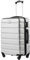 COOLIFE Suitcase Trolley Carry On Hand Cabin Luggage Hard Shell Travel Bag Lightweight with TSA Lock and Durable 4 Spinner Wheels (Bright Silver, L(77cm 93L))