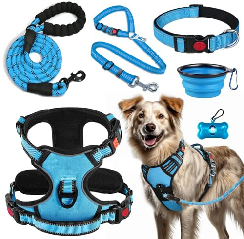 LOBEVE No Pull Dog Harness, Collar & Leash Set with Travel Accessories