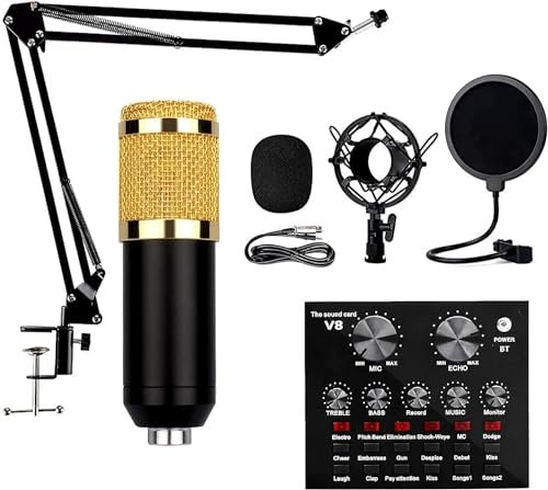 Mikrofonset med stativ, sångmikrofon, karaoke, inspelningsbar musik, brusreducering