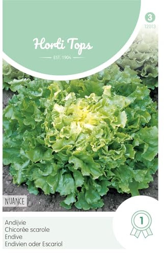 Hortitops 12013 Endives ou Escariol Nuance (graines de salade endive)