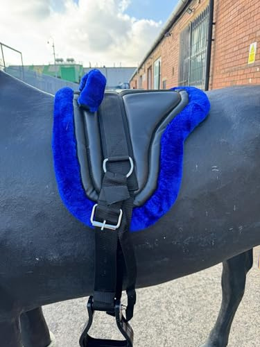 Equipride BAREBACK PAD RIDING PAD FOR PONY AND MINI HORSES WITH GIRTH AND STIRRUPS SIZE FULL-SHETLAND ROYAL BLUE (Full)