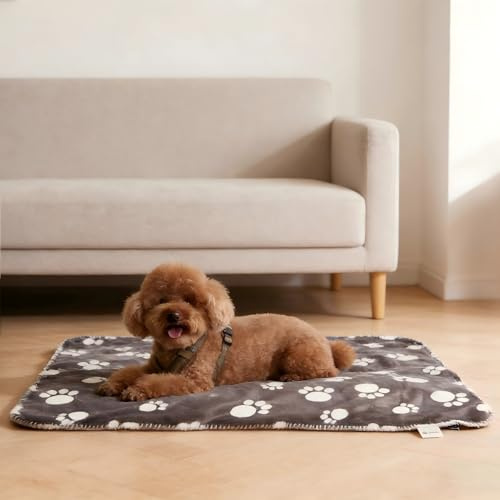 Pawsee Wasserdicht Hundedecke Katzendecke mit Pfotenabdruck, Waschbar Fleece Sherpa Hundehandtuch für Couch Bett Outdoor, wasserdichte Tagesdecke Bettschutz Sofa Überwurf Sofabezug, 127 x 75 cm