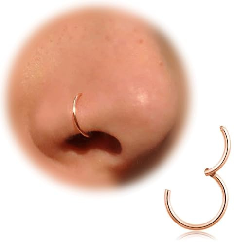 Näsring guld silver tunn näspiercing ring titan för kvinnor män 20G 18G 16G Septum Tragus Conch örhängen läpppiercing näsa piercing ringar smycken 6 mm/7 mm/8 mm/9 mm/10 mm, 7mm, Titan, Ingen ädelsten