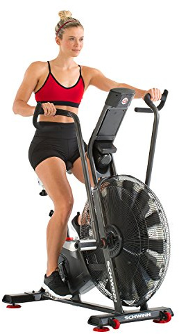 Schwinn Fitness AD7 Airdyne Bike