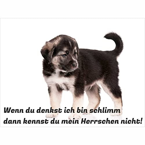 INDIGOS UG - Schilder selbst gestalten - Ich bin schlimm - Schild personalisiert - Foto & Wunschtext - Aluverbundplatte - ab 20x15 cm - Spruch - Geschenkidee für Ihr Tier - Zaun - Türschild