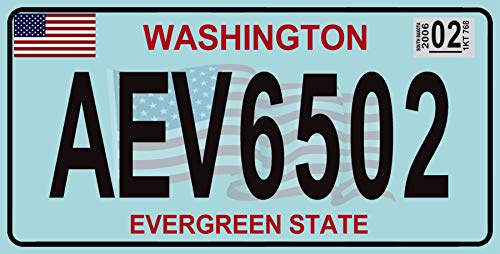 OPO 10 Réplica de matrícula de Coche Estadounidense en Metal (30 x 15 cm): Washington (C48)