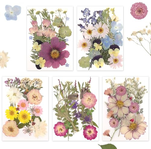 Gugxiom Torkade pressade blommor för harts, 5 påsar med 100 pressade blommor, 5 färgämnen, torra blommor för nagelkonst, harts, gör-det-själv-smyckesdesign, skal (1)