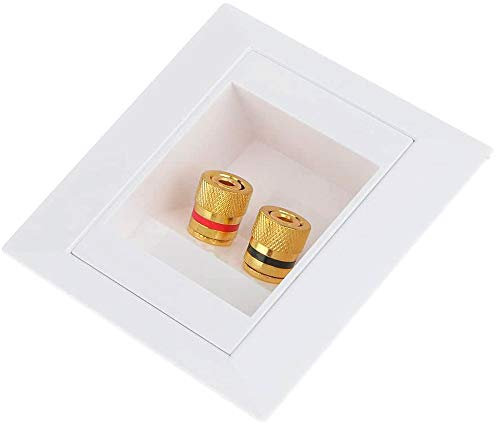 POFET Altoparlanti Multimediali Wallbox Scatola di Derivazione a Muro con Spina a Banana Prese per 2 Altoparlante, Sistema Audio Surround Hi-Fi Home Cinema