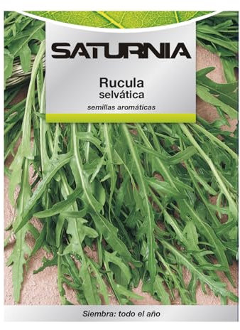 Semillas Aromaticas Rucula Selvatica (2.5 gramos) Horticultura, Horticola, Semillas Huerto.