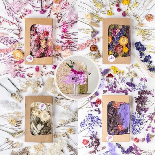 Premium Trockenblumen Set - 4 Boxen x 4 Farben + Mini Trockenblumen Bouquet mit Vase in Geschenkbox - Getrocknete Blumen zum Basteln und als Deko - Made in Germany