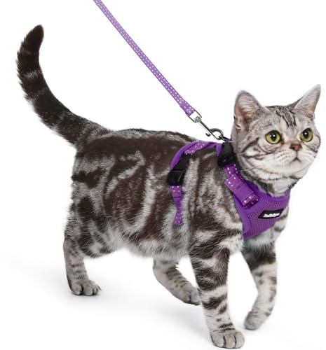 rabbitgoo Cat Harness and Lead Set, Easy-on with Neck Buckle, Purple | Escape Proof, Lockable Adjustable Fit, Soft Reflective Vest, 3 Snap Buckles, with 1.5m Lead for Average Adult Cats Walks, S