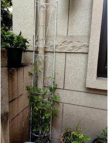 Großes schmiedeeisernes Rankgitter für Kletterpflanzen, Retro-Metall-Pergola-Laube, halbrundes Design, langlebige Pflanzenstütze für Reben, 185 x 27,8 cm