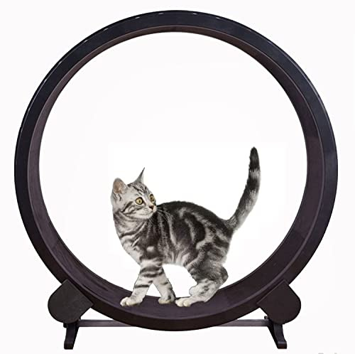 BCJMKDX Rueda para Gatos. Rueda de Ejercicio for Gatos, Juguete Giratorio for Correr, Cinta silenciosa for con Pista Antideslizante, Funcionamiento Suave y Libre