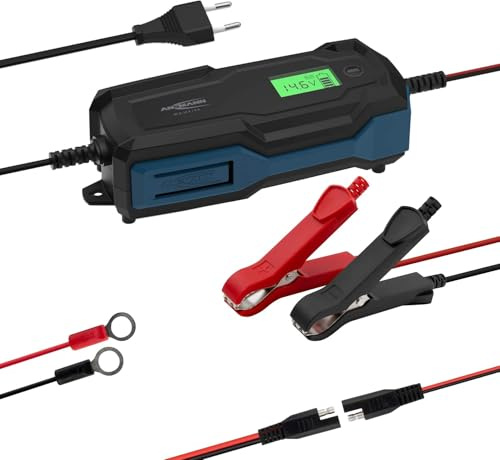 ANSMANN Intelligentes 10-Stufen Ladegerät 6V 12V / 6A mit LCD-Display für Blei-Säure-, Blei-Gel- und Blei-Vlies-Batterien, sowie 12V LiFePo4 Batterien für Auto, Motorrad und Kleintransporter