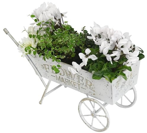 Z² BellaDecor Vintage Kleiner Blumenwagen Pflanzgefäß Einzigartige Pflanzgefäße Indoor Pflanzgefäß Pflanzgefäße für Outdoor-Pflanzen Rustikale Metall Dekorative Schubkarre Moderne Bauernhaus-Dekor