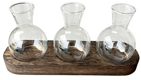 Hydroponisk planterare – 25 cm glasvas med träbas | Vattenförädlingsstation, rotande terrarium för växter, skrivbordsdekor, bokhylla och lägenhet vardagsrum