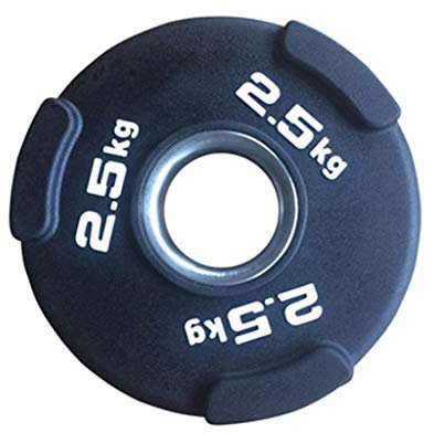 Cfty EIN Paar Gewicht Barbell Platte Krafttraining Plates Olympia Gewichte aus Gusseisen 50mm Lochplatten for Home Gym Fitness Lifting trainieren Hantelscheiben(25KG/55LB x 2)