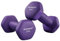 SONGMICS Hanteln, 2er Set, 2 x 1 kg, Hantelset, Kurzhanteln, Hexagon, Neopren-Beschichtung, Krafttraining, Workout, Fitnesstraining, für Zuhause, aschlila SYL902P02