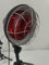Lampada a Infrarossi da Terra, Rkdely 150W Lampada Infrarossi Riscaldante con Luce Rossa Terapia, Lampada Infrarossi Regolabile In Temperatura e Regolabili In Altezza con Timer