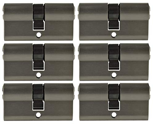Löwen Sicherheit 6x Profilzylinder 30x30 Zylinderschloss PZ 60 mm gleichschließend inkl. 20 Schlüssel Metallic Silber Grau