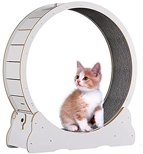 katzenlaufrad Hölzernes Katzenübungs-Riesenrad, Haustierfreundliches Katzenlaufband, Indoor-Katzenlaufrad, Winziger Spalt und Leise Riemenscheiben,White-L
