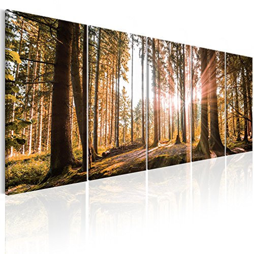B&D XXL - Akustikbild Wald 5 tlg Bilder Akustikschaum Schallschutz Wand Deko Akustikpaneele Wandpaneele Schalldämmung Wandbild Schallabsorber Akustikplatten Waldlandschaft Natur Baum c-C-0177-b-p