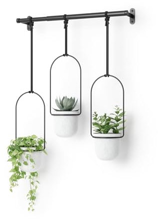 Umbra Triflora Vase, Hängeblumentopf, Wandvase, Blumenampel für Wand-und Deckenanbrinung, Melamin, Metall, 3 Töpfe, Weiss/Schwarz, 3er-Set