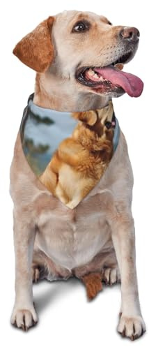 Golden Retriever Hunde-Bandana, Haustier-Schal, Zubehör für kleine, mittelgroße Hunde und Katzen, Foto-Requisite, dreieckig, verstellbar, Welpen-Lätzchen, waschbar, Hundehalstuch, Welpen-Halstuch