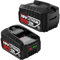 2 x 18 V Battery 5.0 Ah Compatible with Bosch Home and Garden, 5000 mAh Battery for Gloria Battery Compatible with Bosch 18 V PBA PSB PSR