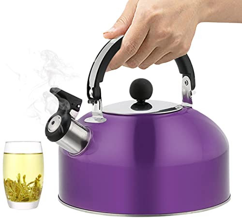 1,8 L Edelstahl Flötenkessel Teekessel Wasserkessel Pfeifkessel, 1800ml Singender Retro Kessel Camping Wasserkessel Für Herd,Grill,Grill Gasbrenner Und Offenes Feuer - Mit Hitzebeständige Griff