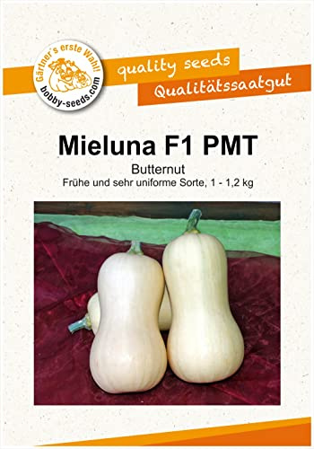 Kürbissamen Mieluna F1 Portion