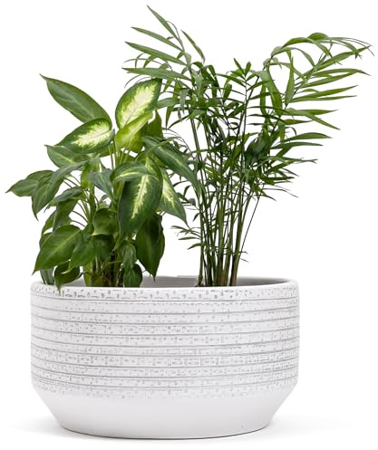 Vimin Box Jarrón grande y elegante de terracota | Maceta decorativa moderna para plantas, flores, plantas suculentas, árboles pequeños | de interior o exterior (blanco/gris, diámetro 28 – h.15 cm)