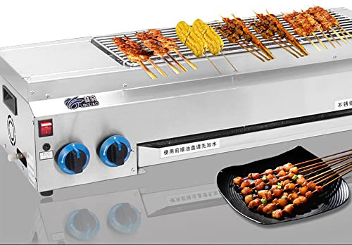 MNSRRN Parrilla Comercial sin Humo, Gas de Gran Capacidad/Parrilla eléctrica de Doble Fibre, Acero Inoxidable Portátil al Aire Libre Parrilla Picnic,22cm