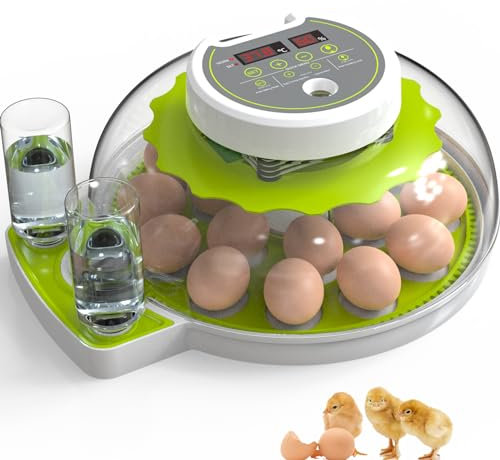 DETODDA Brutmaschine Vollautomatisch, Inkubator für hühner mit LED Beleuchtung, Brutautomat Vollautomatisch mit Temperatur- und Feuchtigkeitskontrolle, mit Automatischem Eierwender - Grün 18 Eier