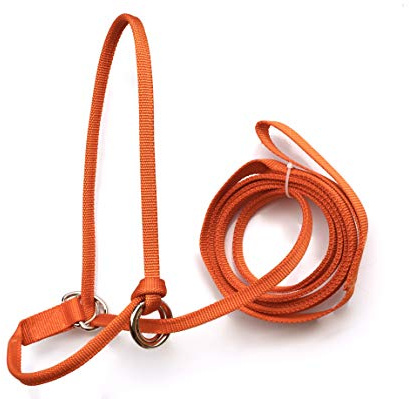 Halter-All Medium Donkey Small Mule Endless Adjustable Halter & Lead USA (Ice Blue)