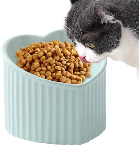 Keramiska kattskålar, keramisk kattmatsskål | vattenmatsluttande skål för | grunt vatten för Cor form